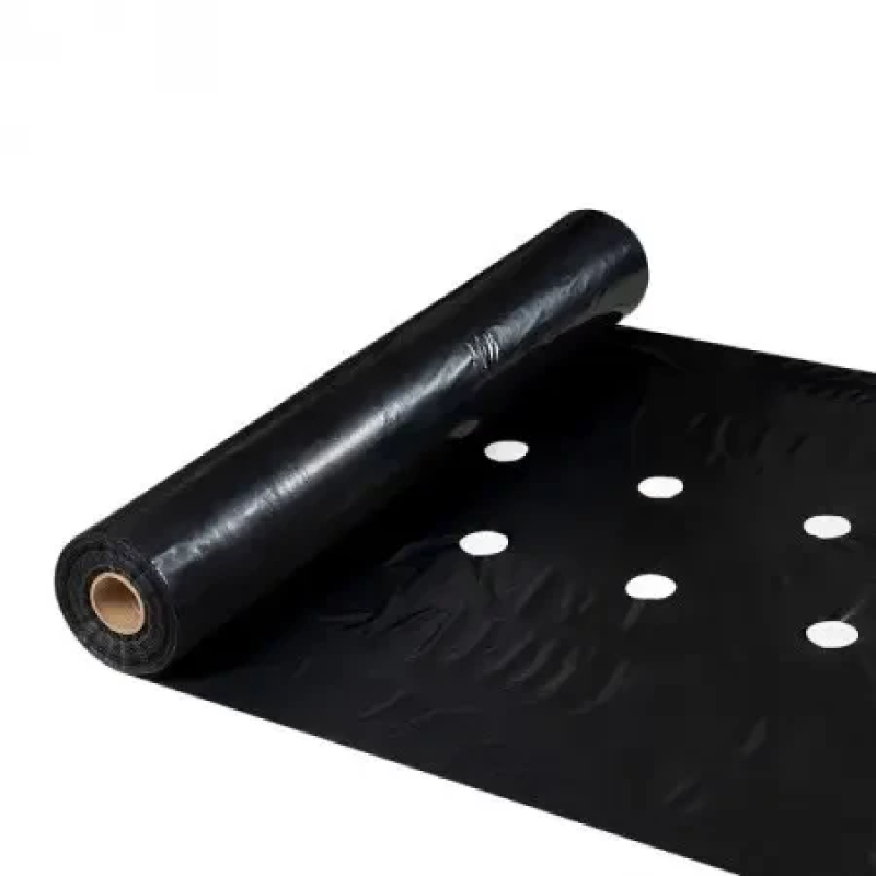 Плівка 40 мкм 1.0м* 500м плівка чорна для мульчування перфорована
