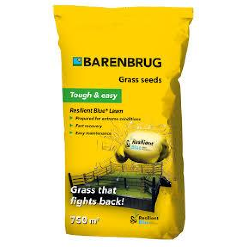 Resilient Blue Lawn супер витривала Barenbrug  – 15кг.